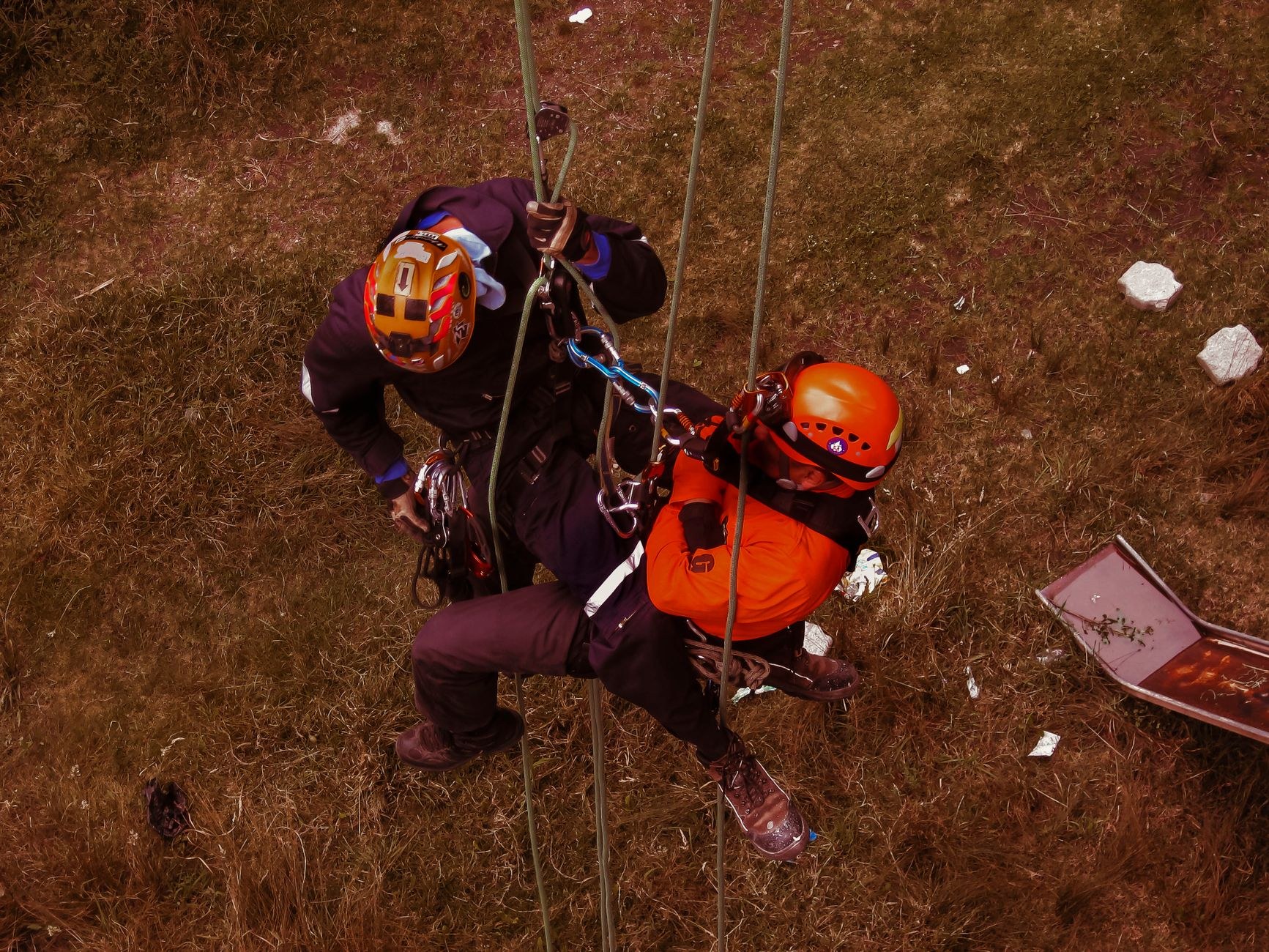 Climber roped up a tall bare trunk on a cold day